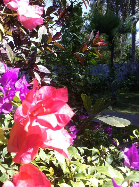 Gili Garden Bungalow Gili Meno Bagian luar foto